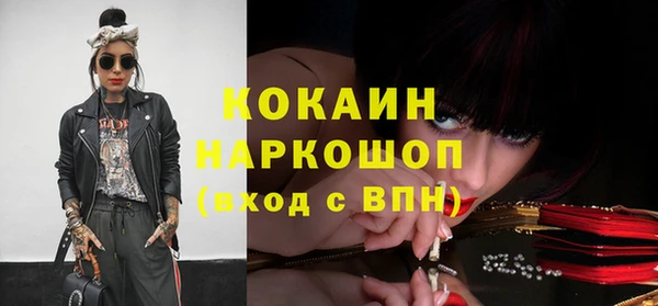 стаф Алексин