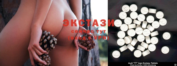 стаф Алексин