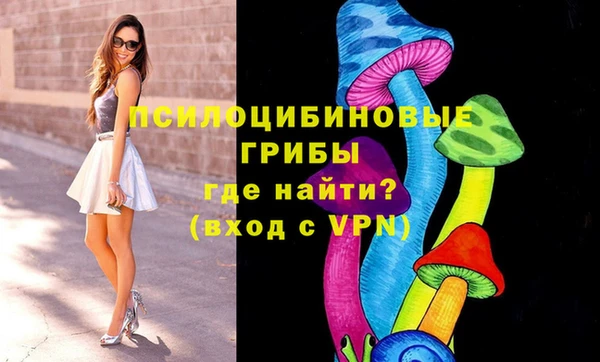 стаф Алексин