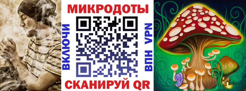 Псилоцибиновые грибы прущие грибы Сосновка